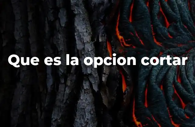 La importancia de la edición en el proceso creativo