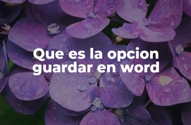 Que es la Opcion Guardar en Word