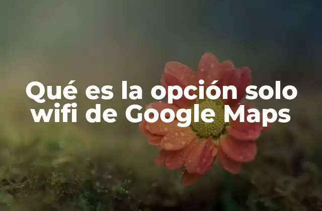 Qué es la Opción Solo Wifi de Google Maps