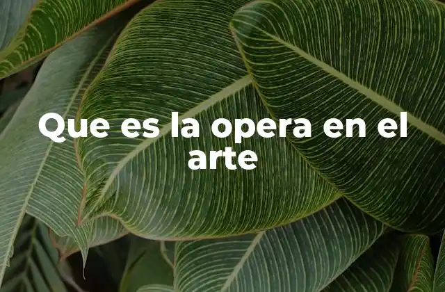Que es la Opera en el Arte