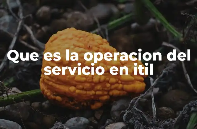 Que es la Operacion Del Servicio en Itil