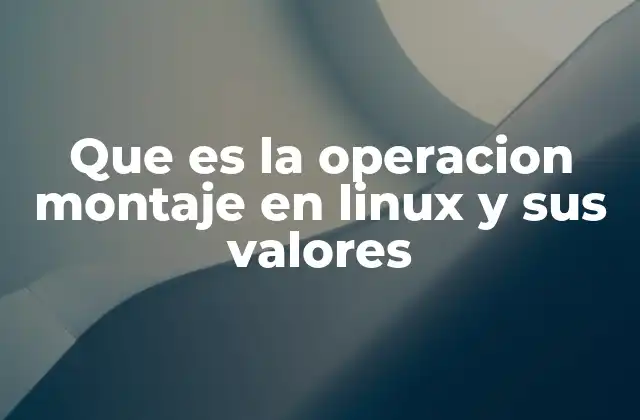 Que es la Operacion Montaje en Linux y Sus Valores