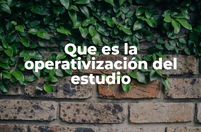 Que es la Operativización Del Estudio