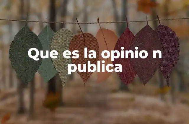 Que es la Opinio N Publica