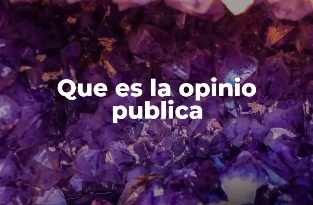 Que es la Opinio Publica