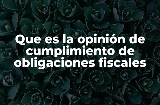 Que es la Opinión de Cumplimiento de Obligaciones Fiscales