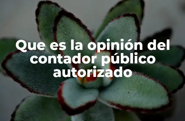Que es la Opinión Del Contador Público Autorizado