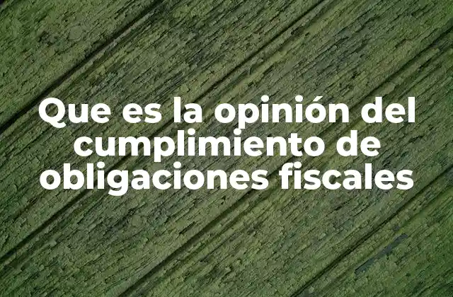 Que es la Opinión Del Cumplimiento de Obligaciones Fiscales