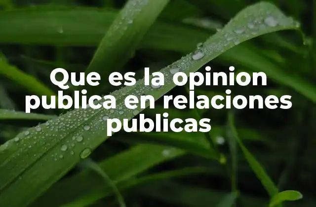 Que es la Opinion Publica en Relaciones Publicas