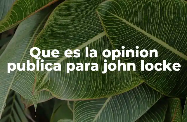 Que es la Opinion Publica para John Locke