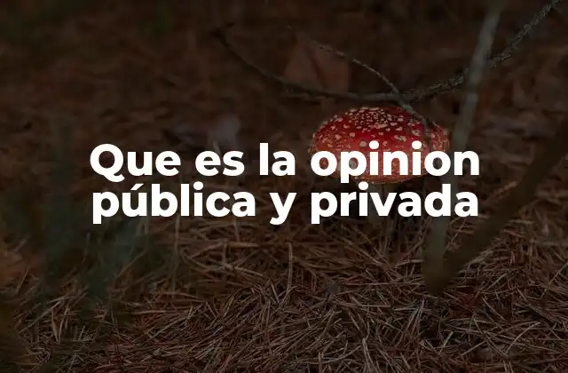 Que es la Opinion Pública y Privada