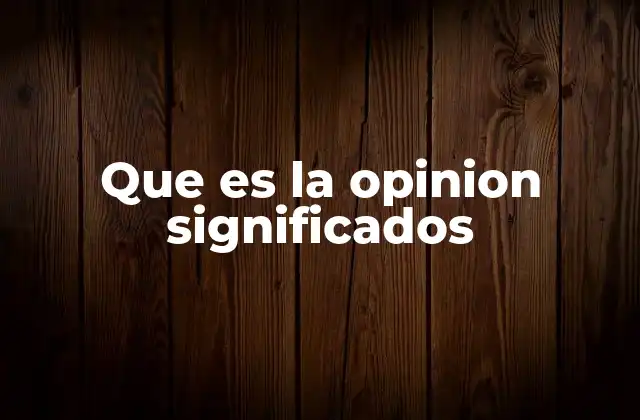Que es la Opinion Significados