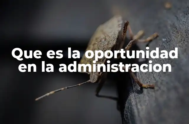 Que es la Oportunidad en la Administracion