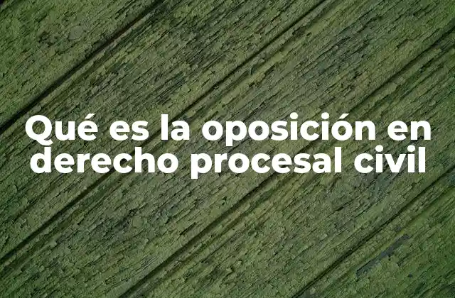 Qué es la Oposición en Derecho Procesal Civil 2 El papel de la oposición en el desarrollo de un proceso judicial