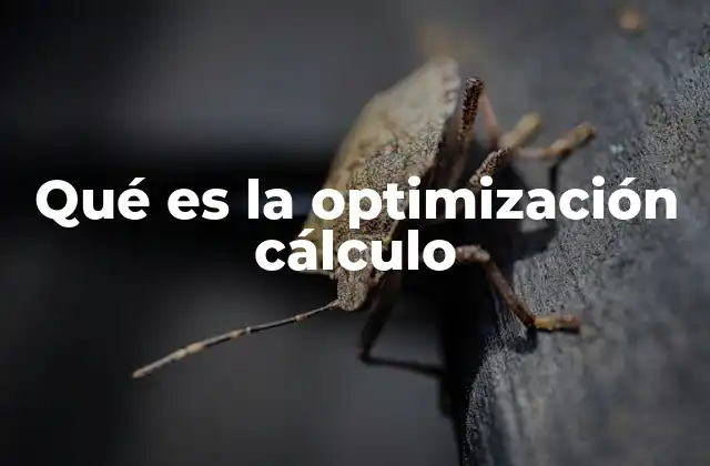 Qué es la Optimización Cálculo
