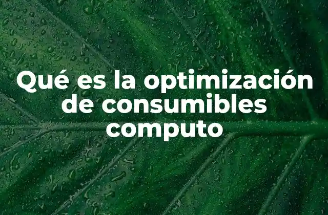 Qué es la Optimización de Consumibles Computo
