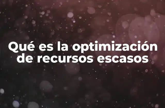 Qué es la Optimización de Recursos Escasos