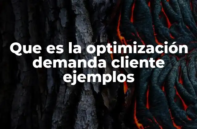 Que es la Optimización Demanda Cliente Ejemplos