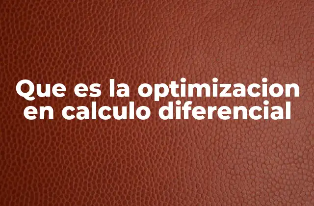 Aplicaciones prácticas de la optimización matemática