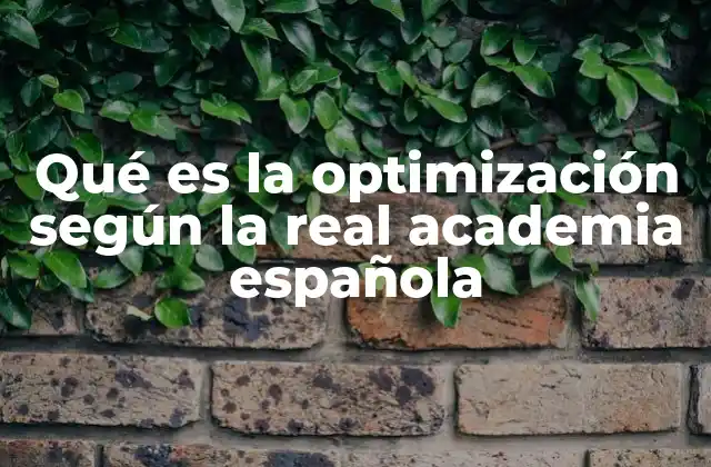 Qué es la Optimización según la Real Academia Española