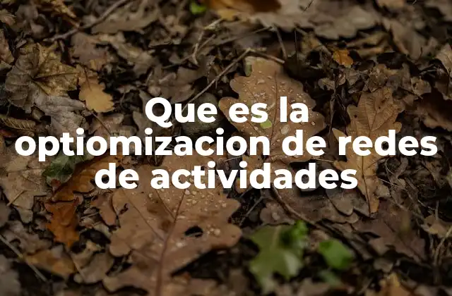 Que es la Optiomizacion de Redes de Actividades