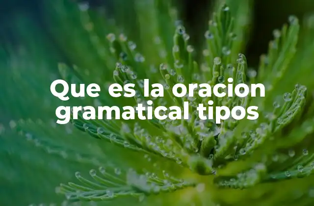 Que es la Oracion Gramatical Tipos