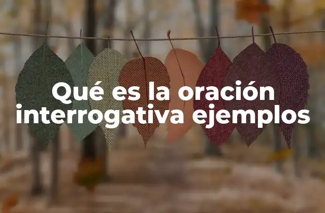 Qué es la Oración Interrogativa Ejemplos 2 El papel de las oraciones interrogativas en la comunicación
