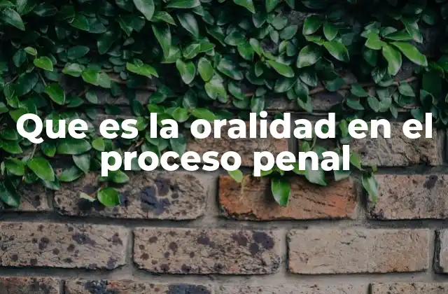 Que es la Oralidad en el Proceso Penal