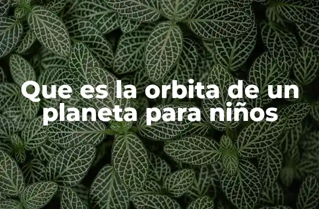 Que es la Orbita de un Planeta para Niños