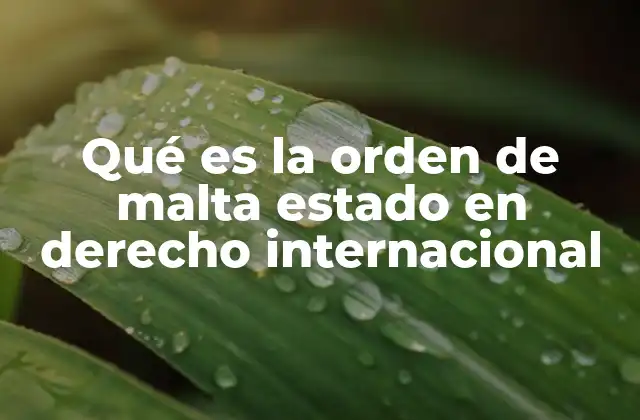Qué es la Orden de Malta Estado en Derecho Internacional
