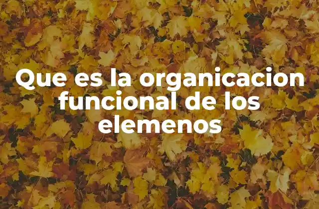 Que es la Organicacion Funcional de los Elemenos