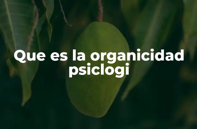 Que es la Organicidad Psiclogi 2 La conexión entre mente y cuerpo