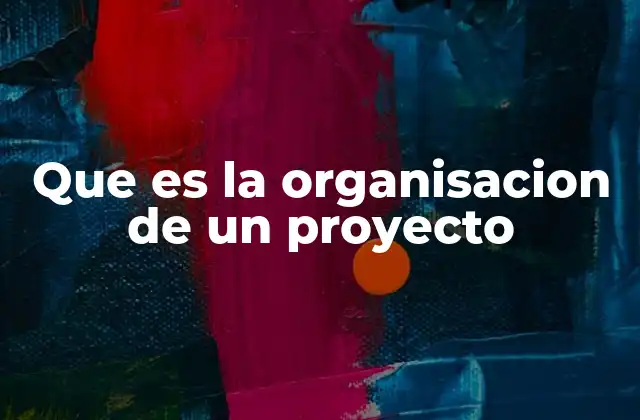 Que es la Organisacion de un Proyecto