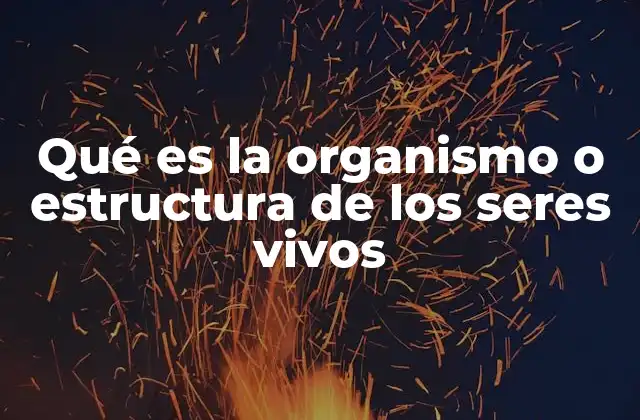 Qué es la Organismo o Estructura de los Seres Vivos