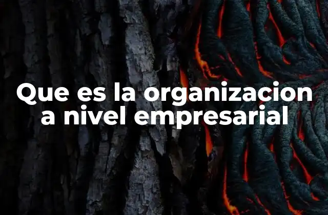 Que es la Organizacion a Nivel Empresarial
