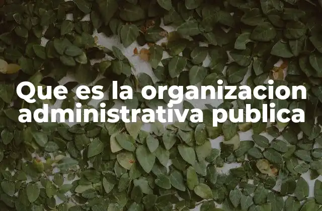 Que es la Organizacion Administrativa Publica