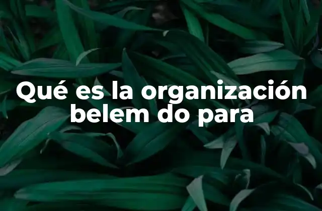 Qué es la Organización Belem Do para