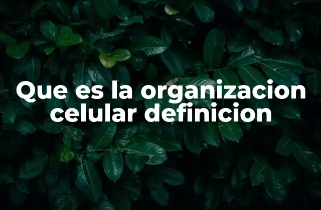 Que es la Organizacion Celular Definicion