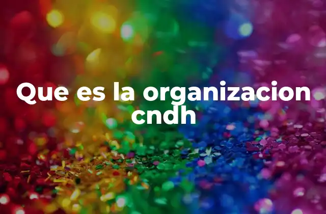 Que es la Organizacion Cndh