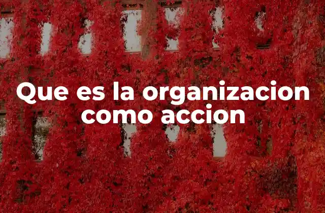 Que es la Organizacion como Accion