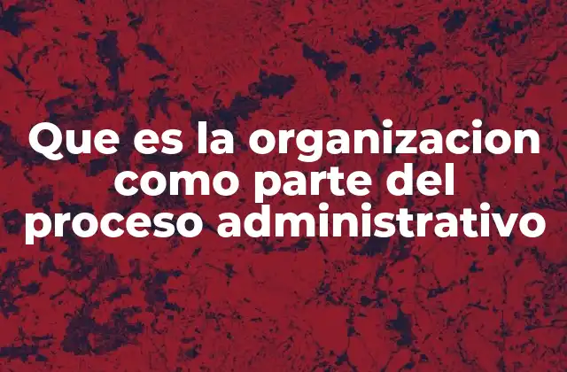 El papel de la organización en la estructura empresarial