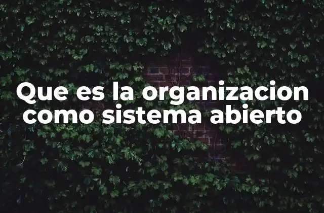 Que es la Organizacion como Sistema Abierto