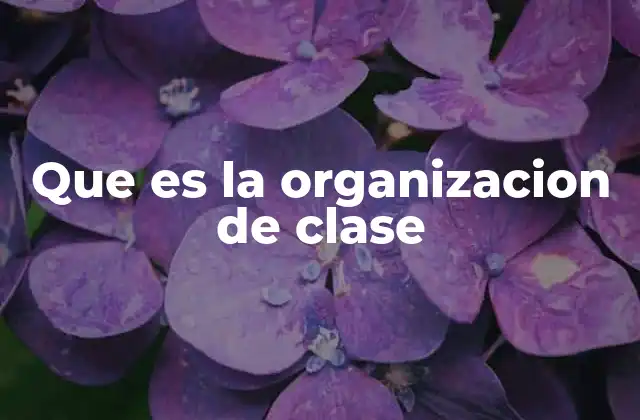 Que es la Organizacion de Clase