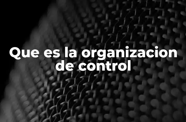 Que es la Organizacion de Control