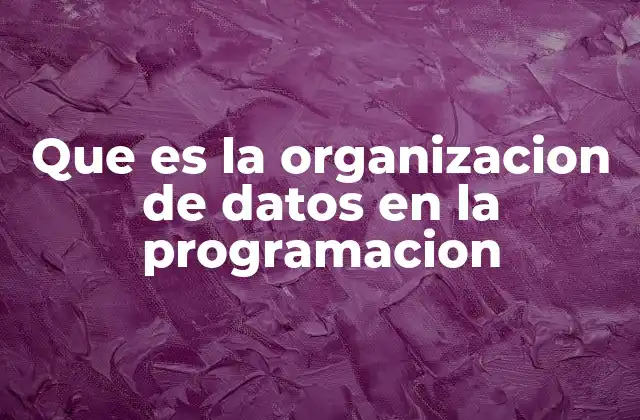 La importancia de estructurar la información en el desarrollo de software