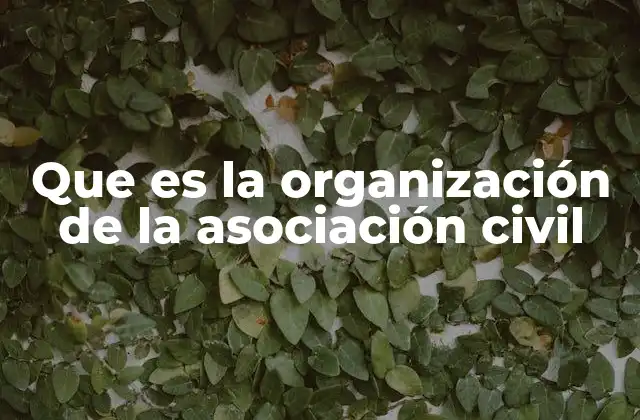 Que es la Organización de la Asociación Civil