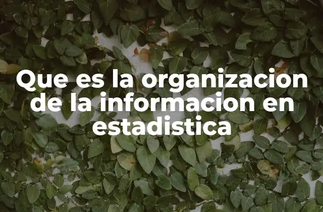 Que es la Organizacion de la Informacion en Estadistica