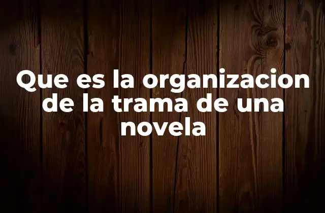 Que es la Organizacion de la Trama de una Novela