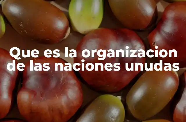 Que es la Organizacion de las Naciones Unudas