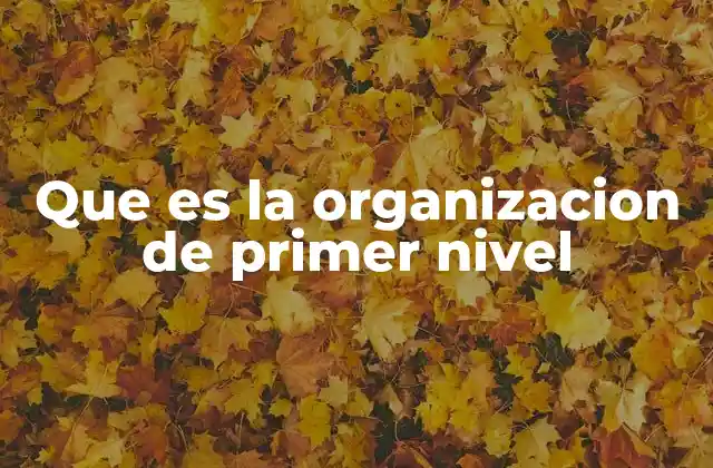 Que es la Organizacion de Primer Nivel